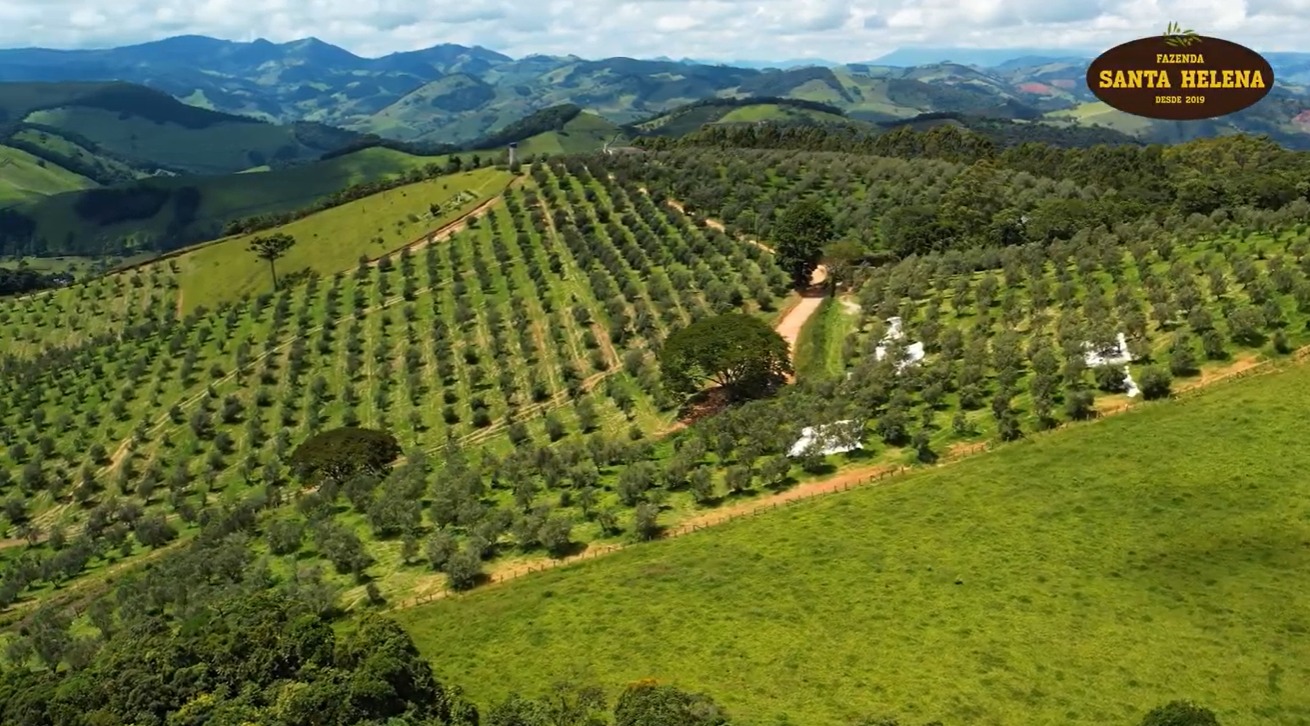 Fazenda Santa Helena - Azeite Monasto | Serra da Mantiqueira